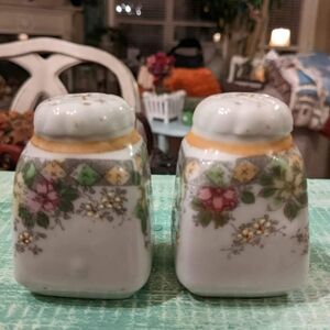 Beautiful Vintage Floral salt And Pepper Shakers.